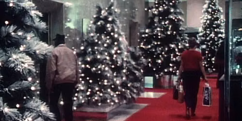 The Store\u2014Wisemania Film Series