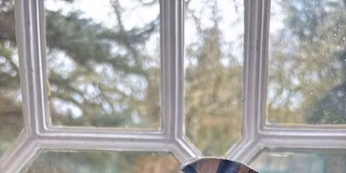 Mini Ceramic Jug Workshop