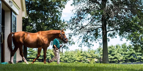 Equine Reproduction Practitioners\u2019 Day