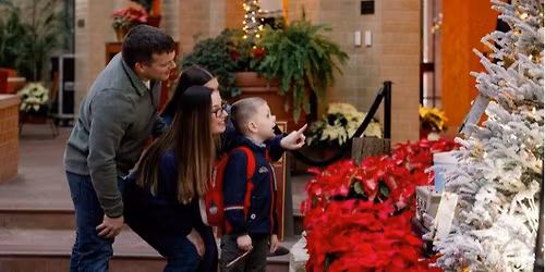 FREE Member Holiday Show Preview