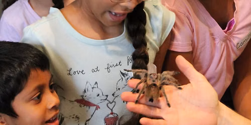 Family Nature Night: Creepy Crawlies