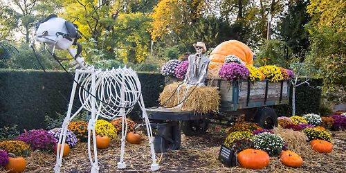 Pairi Daiza Halloween