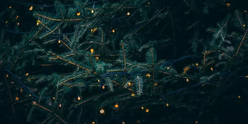 Orin Swift Holiday Wine Dinner