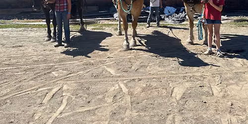 Draft Horse Teamsters Challenge @ 3 Co Fair