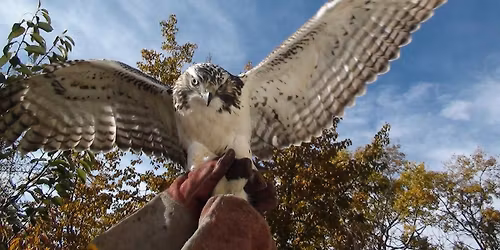 Strathcona Christmas Bird Count