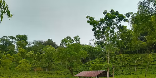 \u09ae\u09be\u09a4\u09cd\u09b0 \u09e7\u09e8\u09eb\u09e6\/- \u099f\u09be\u0995\u09be\u09df \u099a\u099f\u09cd\u09b0\u0997\u09cd\u09b0\u09be\u09ae \u09b6\u09b9\u09b0 \u09a5\u09c7\u0995\u09c7 \u09a8\u09cc \u09aa\u09a5\u09c7 \u0995\u09b0\u09cd\u09a3\u09ab\u09c1\u09b2\u09c0 \u09b9\u09af\u09bc\u09c7 \u0995\u09be\u09aa\u09cd\u09a4\u09be\u0987 \u09a1\u09c7 \u099f\u09cd\u09af\u09c1\u09b0\u0964