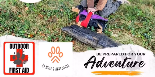 Outdoor Canine First Aid with Afan Adventure Dog