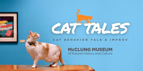 Cat Tales: Cat Behavior Talk & Improv