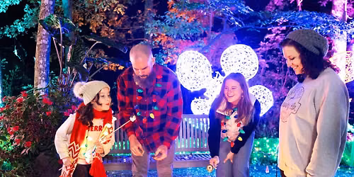 Gainesville Glows: Lanterns and Lights