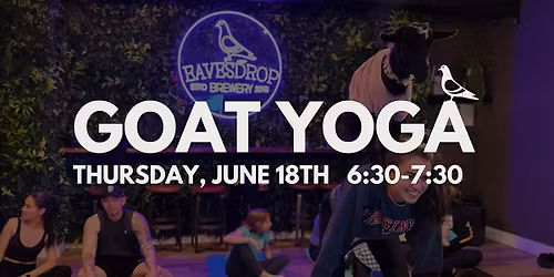 Goga:  Goat Yoga at Eavesdrop!