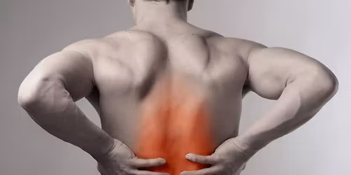 Yoga Therapy For Low Back Pain 12-Wk Series, February 3-April 21, Tuesdays at 1:30PM At UpDog Yoga