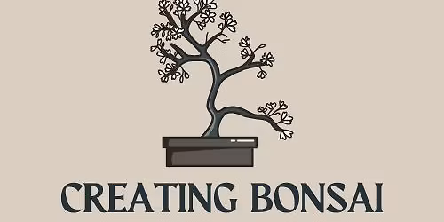 Creating Bonsai 
