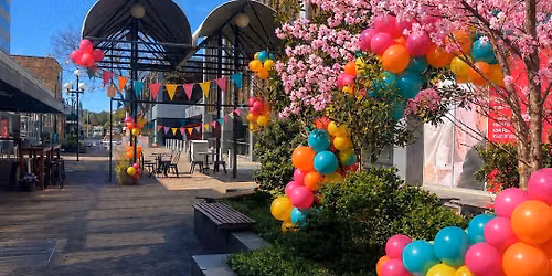 Dream Fiesta Markets Bell st Mall