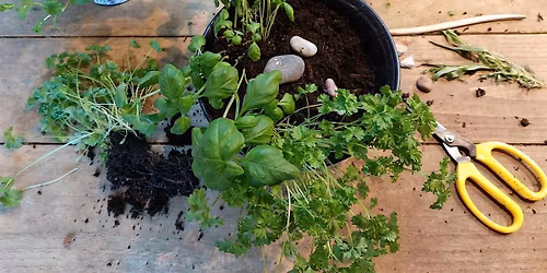 Herbs & Vegetables Workshop