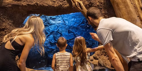 Family 2nd Saturday: Beat the Heat