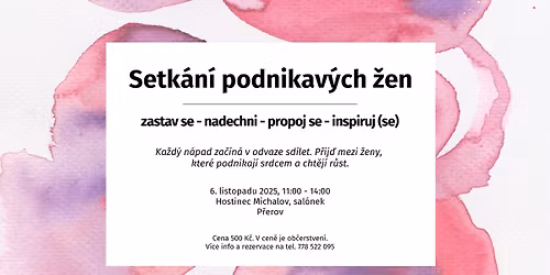 Setk\u00e1n\u00ed podnikav\u00fdch \u017een