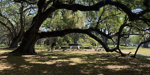 Introduction to Mindfulness Meditation - Plaza Midwood