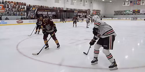 Rockford Icehogs vs. Chicago Wolves