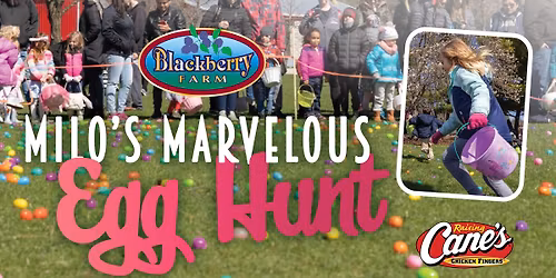 Milo's Marvelous Egg Hunt - SOLD OUT