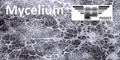 Mycelium - CONNECT AND CREATE WITH US THIS OCTOBER