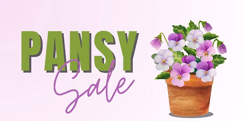 2026 Pansy Sale