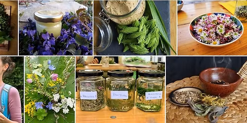 Jahresausbildung "Wilde Kr\u00e4uter im Jahreskreis" 2026 - Gruppe 2