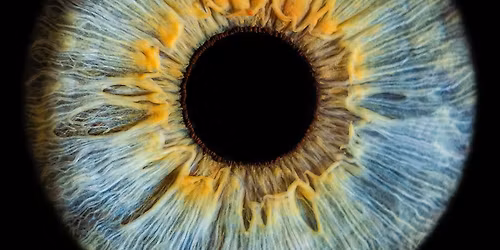 Iris Photography at The Arc Bury St Edmunds