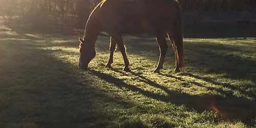 21st Annual Cambridge Coggins and Vaccination Clinic