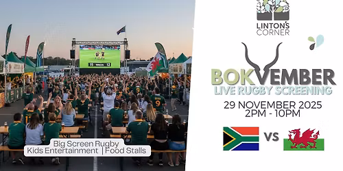 BokVember - \ud83c\uddff\ud83c\udde6RSA vs Wales\ud83c\udff4\udb40\udc67\udb40\udc62\udb40\udc77\udb40\udc6c\udb40\udc73\udb40\udc7f