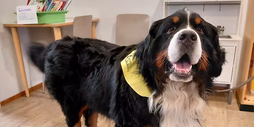 Lukukoira Einar Vuosaaren kirjastossa