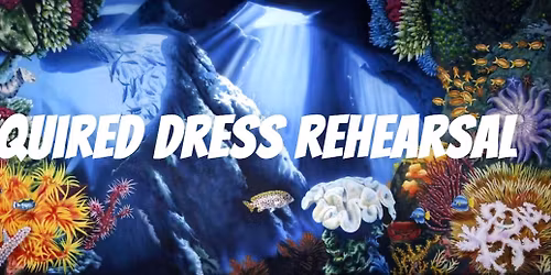 Required: Dress Rehearsal