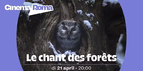 Le chant des for\u00eats in Cinema Roma