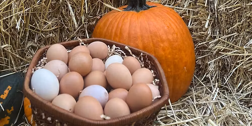 Weekend #7 of our 2025 Fall Season! 