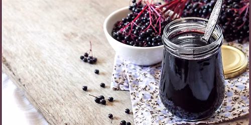 Fall Immunity Building Series: Elderberry Syrup