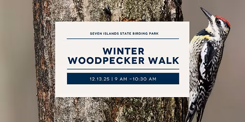 Winter Woodpecker Walk