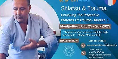 The Protective Patterns Of Trauma - Montepellier - Module 1