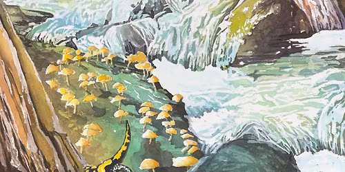 Refugia of the Blues: Where Cold Water, Big Trees, and Resilient Systems Endure