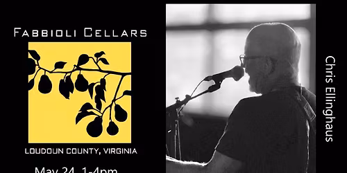 Chris Ellinghaus Live Music 
