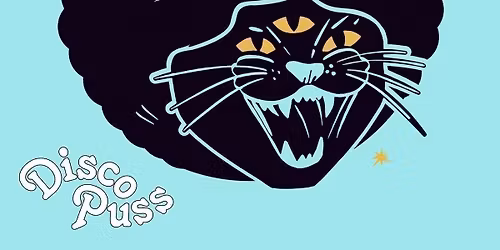 DISCO PUSS Bristol Launch w\/ TOUCH OF FUNK "All Night Long" - Bristol Debut