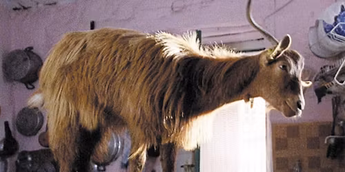 Landsbyen p\u00e5 toppen av fjellet