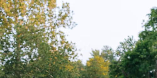 Jada and Anthony\u2019s Stag and Doe!