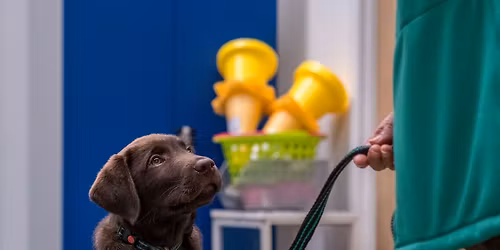 Ability Dogs 4 Young People Charity Barn Dance