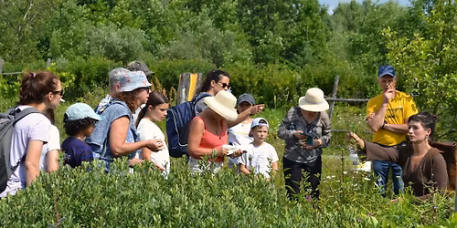 Visite guid\u00e9e de notre magnifique for\u00eat nourrici\u00e8re