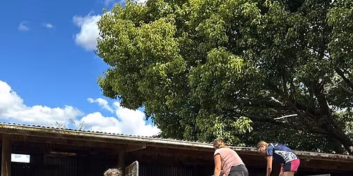 Kihikihi training day
