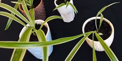Plantswap