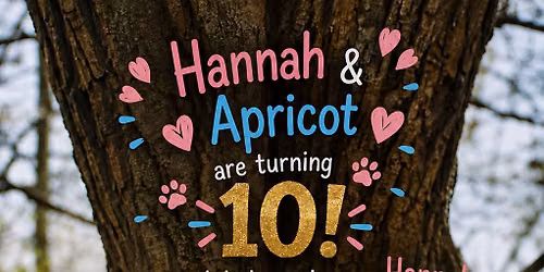 Hannah turns 10! \ud83e\udd73\ud83e\udd73\ud83e\udd73
