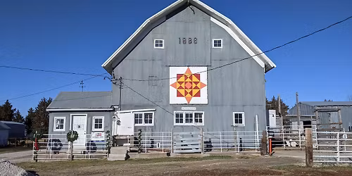 The Living Nativity at The 3B Homestead - The place where real animals help tell The Christmas Story
