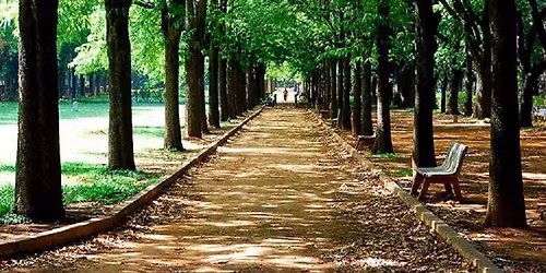 Doodles and Dreamscapes