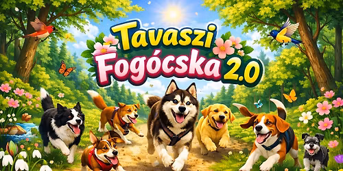Tavaszi Fog\u00f3cska 2.0