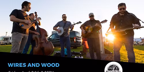 Wires and Wood at the Woodbury Brewing Company